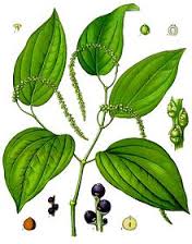 essential oils aromatherapy blending customize black pepper