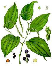 essential oils aromatherapy blending customize black pepper