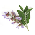 essential oils aromatherapy blending customize clary sage
