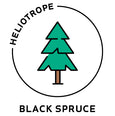 essential oils aromatherapy blending customize black spruce