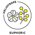 essential oils aromatherapy blending customize euphoric