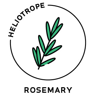 essential oils aromatherapy blending customize rosemary