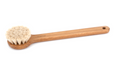 swedish bath brush oak tampico horsehair