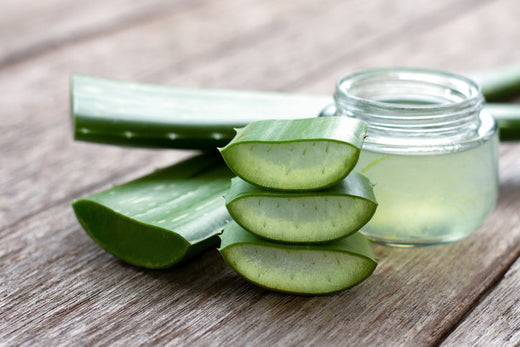 Is Aloe Vera the Missing Ingredient in Your Routine?