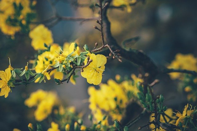The Romance of Loving yourself