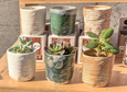 faux bois sherry olsen succulent planter