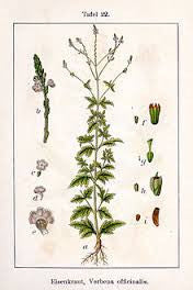 essential oils aromatherapy blending customize verbena