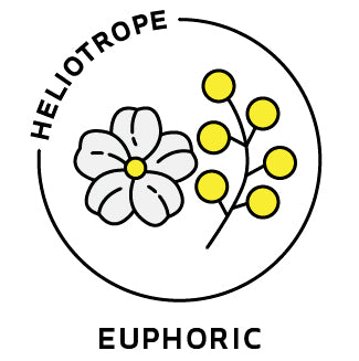 essential oils aromatherapy blending customize euphoric