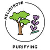 essential oils aromatherapy blending customize purifying