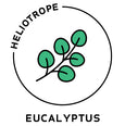 essential oils aromatherapy blending customize eucalyptus