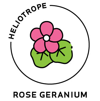 essential oils aromatherapy blending customize rose geranium