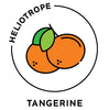 essential oils aromatherapy blending customize tangerine