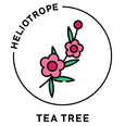 essential oils aromatherapy blending customize tea tree