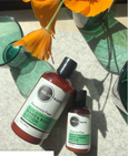 organic aloe olive avocado hand body lotion