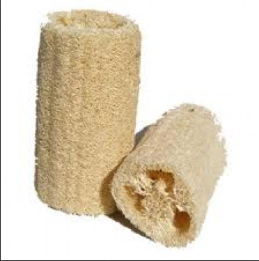 natural loofah sponge